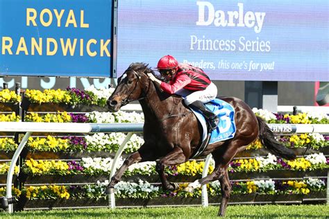 Think About It Stakes 2024 Field, Tips, Betting Odds, Results.